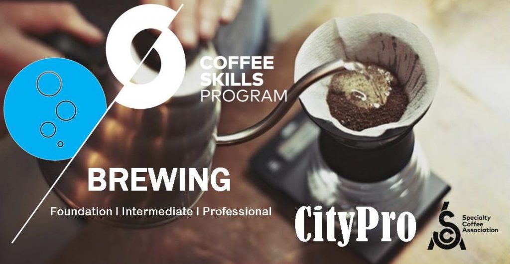 SCA Brewing Foundation + Intermediate SCA咖啡沖煮 / 手沖(初級 + 中級) CityPro