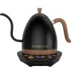 brewista-600ml-coffee-kettle Black